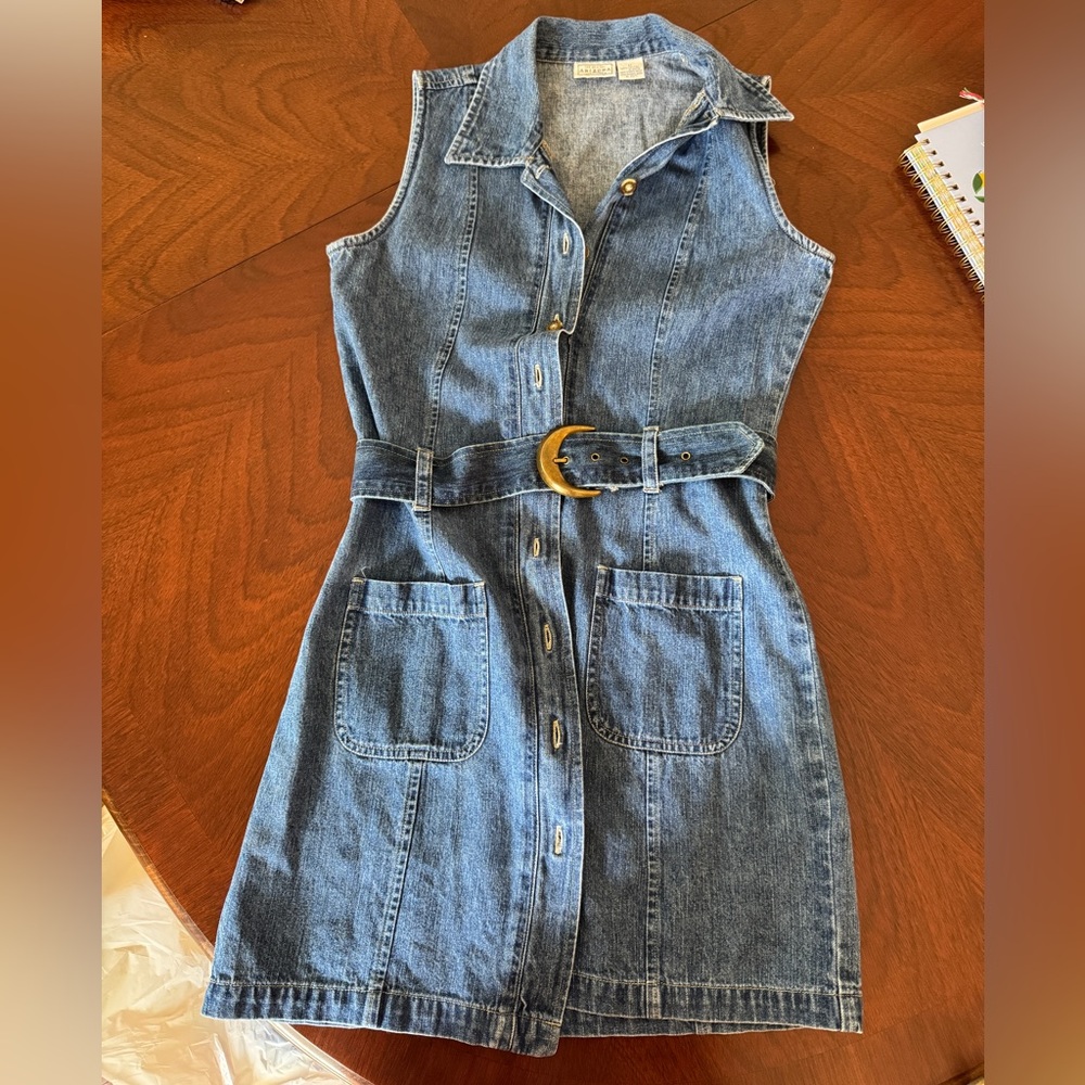 Arizona Denim/Jean Collared Dress